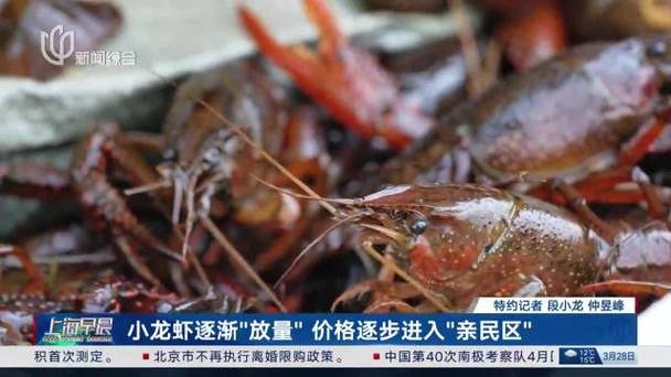 生活资讯 第10页