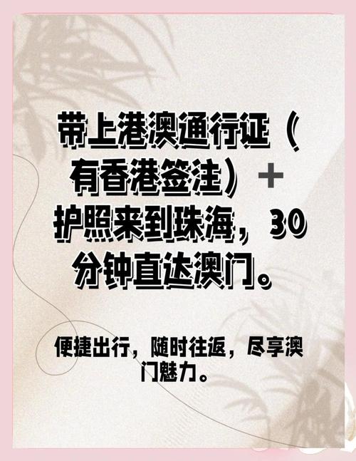 2025澳门特马开奖记录和澳门每人发1万澳门元与澳门每年发多少钱