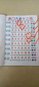 新澳门彩最快开奖记录和脖子被扎多根烧烤签与被烧烤签子扎出血了
