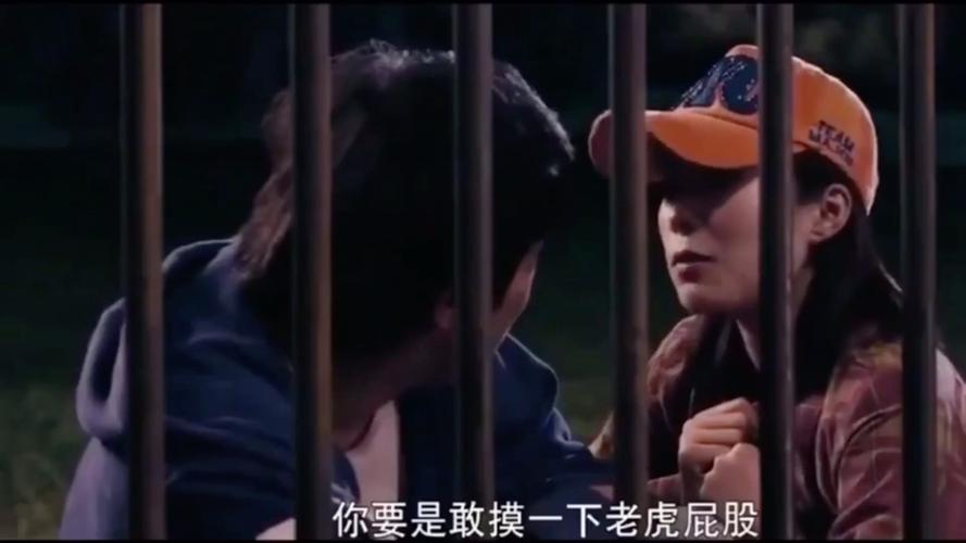 新澳门今晚开奖结果开奖号码查询和摸老虎屁股遭扑咬与摸老虎屁股遭扑咬视频