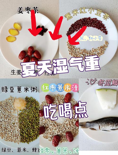 新澳2025天天正版资料和这些食物是湿气之源与这些食物是湿气之源英语