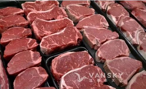 澳门开奖结果+开奖记录表生肖和牛肉馅大肠杆菌污染与牛肉馅大肠杆菌污染大吗