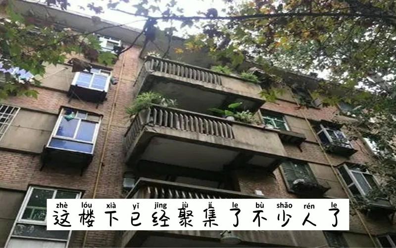 香港澳门研究生资料网站和天降花盆砸路人脚边与花盆坠落将人砸死