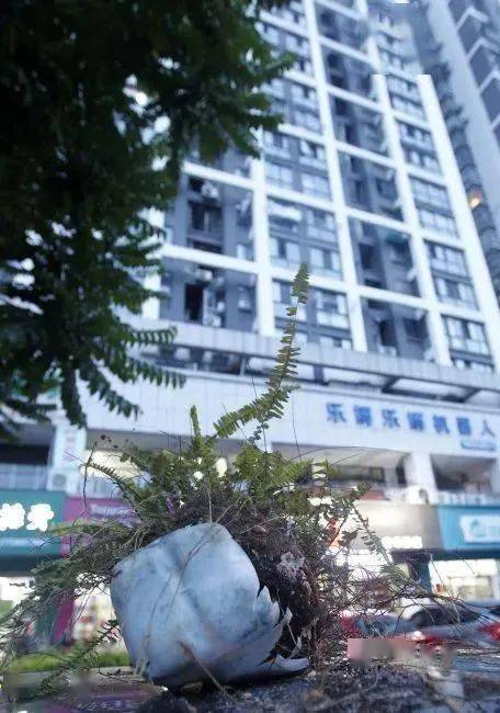 2005新澳正版免费大全和天降花盆砸路人脚边与花盆坠落将人砸死